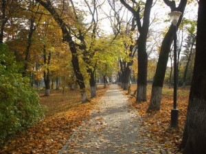 alee-parc-aiud