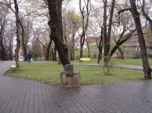 dezbatere-publica-aiud-parc-municipal