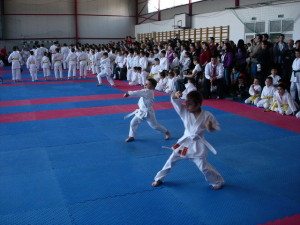 cupa-dojocan-karate-aiud
