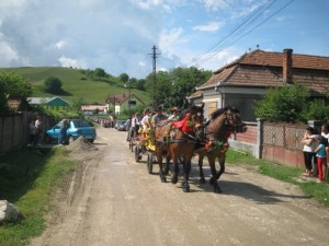 ziua-rozelor-ciumbrud