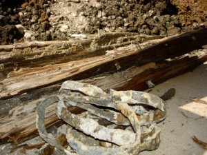 aiud descoperire arheologica