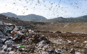 groapa-gunoi-alba-iulia