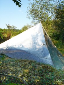 lopadea spital in gradina