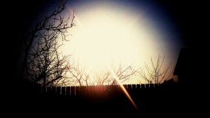 scoala-axente-sever-aiud-desene