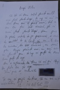 Bilet-adio-crima-Hoparta