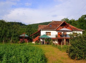 Pensiunea-Casa-Butnarului
