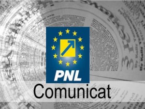 pnl-alba-comunicat-de-presa