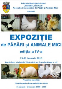 expozitie-pasari-animale-mici-aiud-editia-IV
