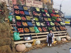 ziua-recoltei-aiud-2016